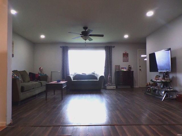 living room with ceiling fan and dark hardwood / wood-style flooring