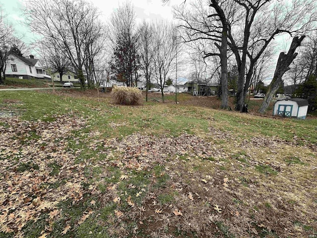 view of yard featuring a storage shed