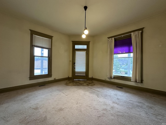 carpeted foyer with a wealth of natural light