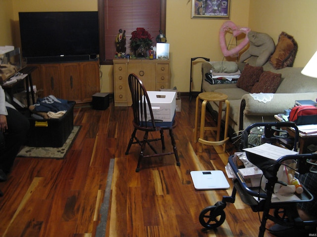 living room with dark hardwood / wood-style floors