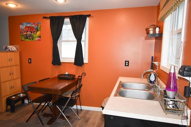 kitchen with hardwood / wood-style flooring, a wealth of natural light, and sink