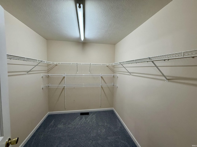 walk in closet featuring carpet floors