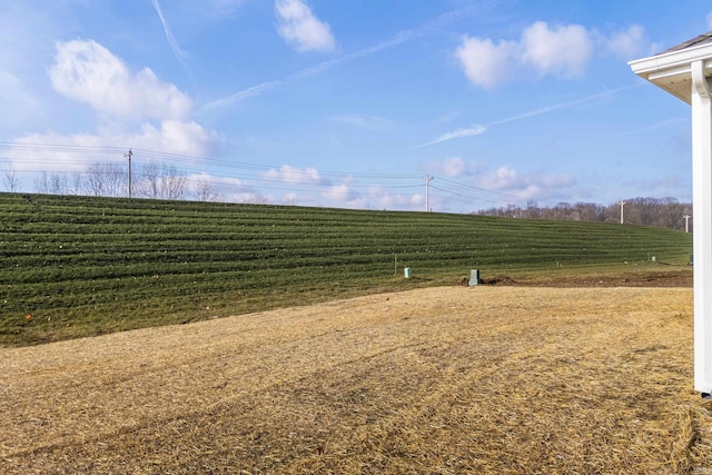 view of yard featuring a rural view