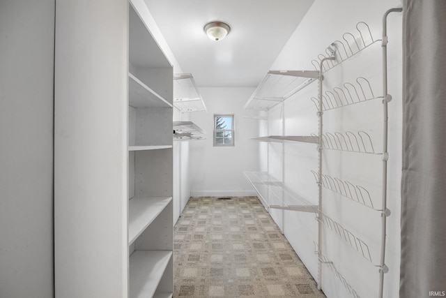 spacious closet with light carpet