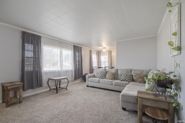 living room with crown molding and carpet