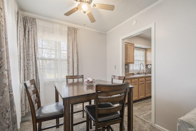 dining room featuring crown molding, sink, ceiling fan, and hardwood / wood-style floors