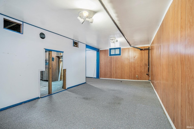 basement with wood walls