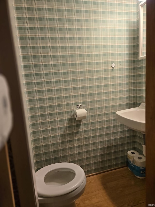 bathroom with wood-type flooring and toilet