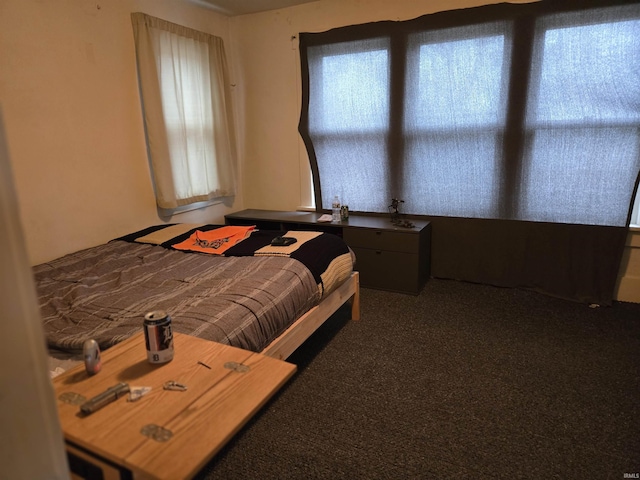 bedroom featuring dark carpet