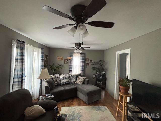 living room featuring dark hardwood / wood-style floors and ceiling fan