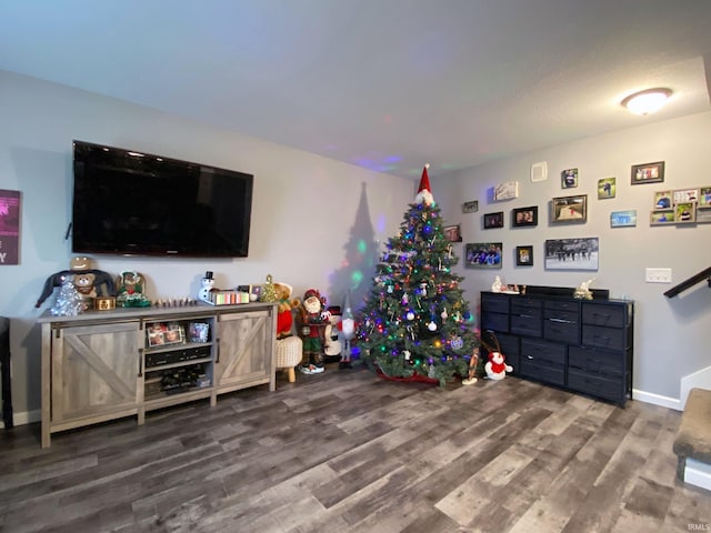 playroom featuring hardwood / wood-style flooring