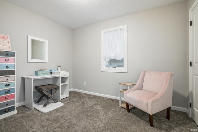 carpeted home office with a textured ceiling