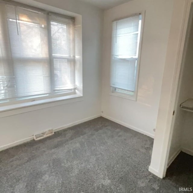 carpeted empty room featuring a healthy amount of sunlight