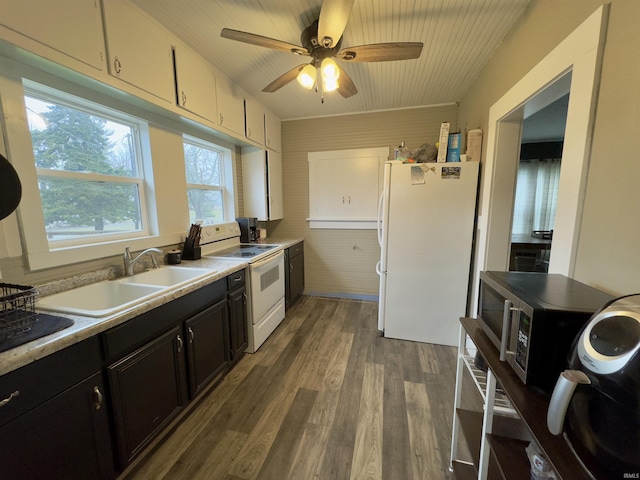 kitchen with white appliances, dark hardwood / wood-style floors, ceiling fan, and sink