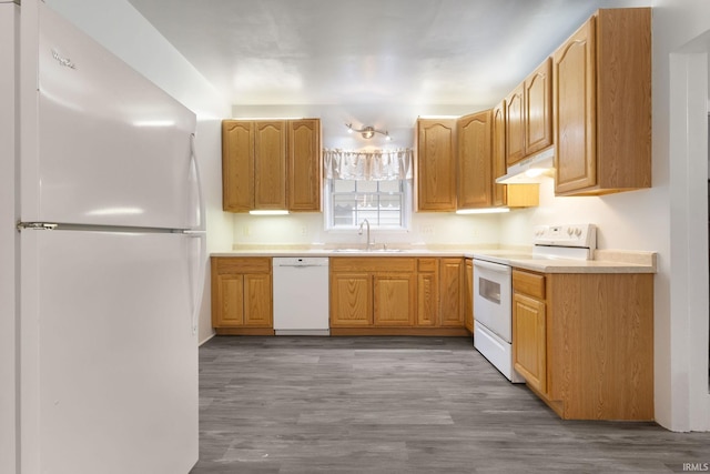 kitchen featuring hardwood / wood-style flooring, white appliances, and sink