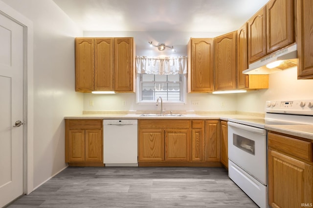 kitchen with white appliances, sink, and light hardwood / wood-style flooring