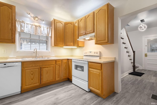 kitchen featuring sink, light hardwood / wood-style floors, and white appliances