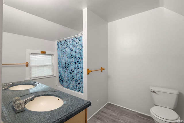 bathroom featuring a shower with shower curtain, vanity, toilet, and wood-type flooring