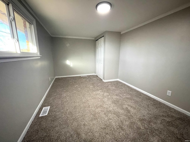 bonus room with dark carpet