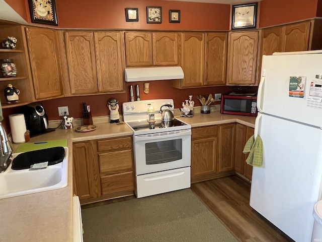 kitchen featuring dark hardwood / wood-style flooring, sink, and white appliances