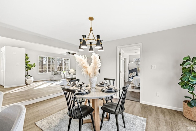 dining area featuring ceiling fan with notable chandelier and light hardwood / wood-style floors