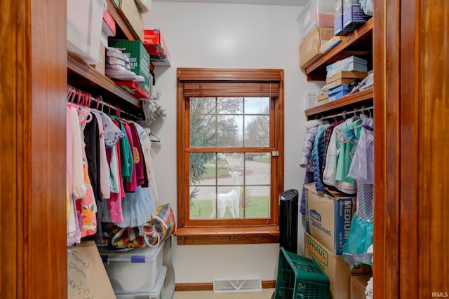 view of spacious closet