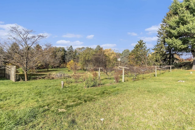 view of yard featuring a rural view