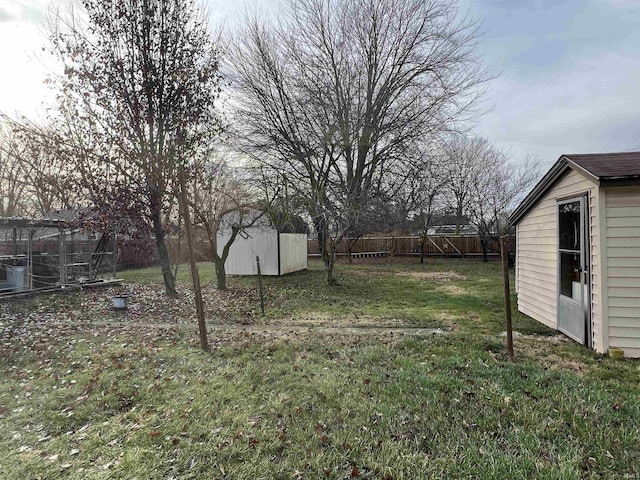 view of yard with a storage shed