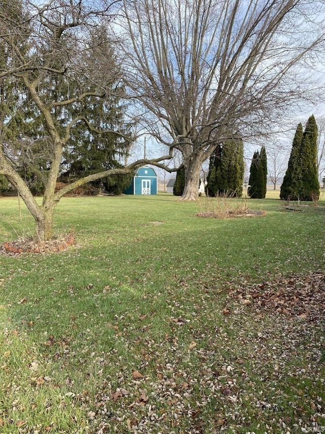 view of yard featuring a storage unit