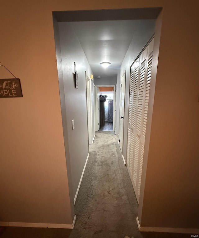 hallway featuring carpet flooring