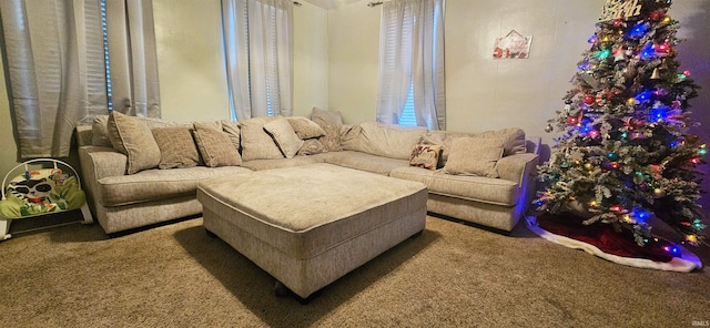 living room featuring carpet floors