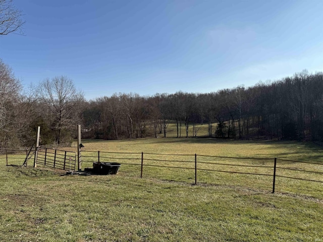 view of yard with a rural view