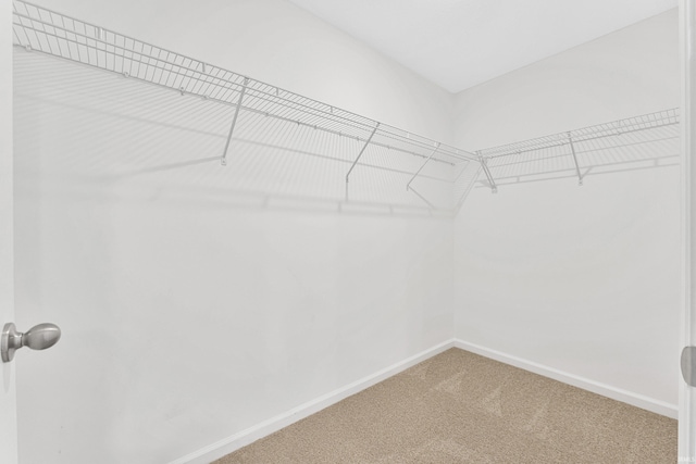 4528 Timber Creek Pkwy, New Haven, IN 46774 - spacious closet with carpet