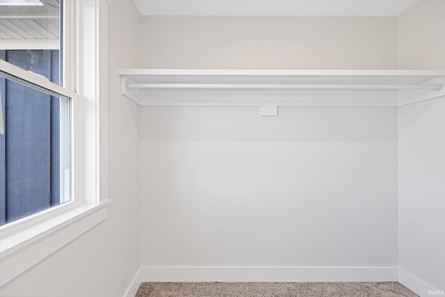 spacious closet with carpet flooring