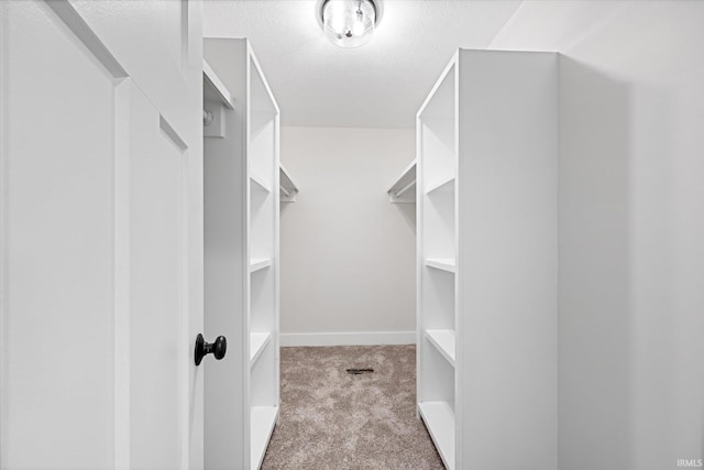 spacious closet with light colored carpet