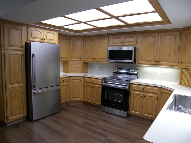 kitchen featuring sink, dark wood-type flooring, and appliances with stainless steel finishes