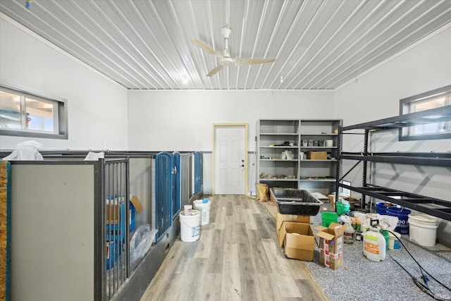 storage featuring ceiling fan