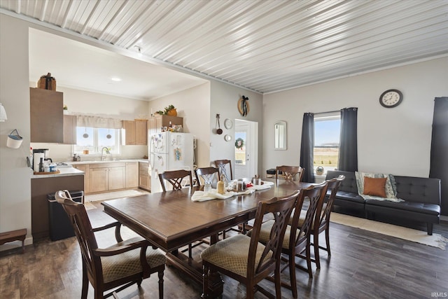 dining space with crown molding, sink, and dark hardwood / wood-style floors