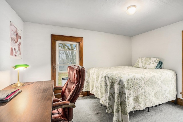 bedroom with carpet flooring