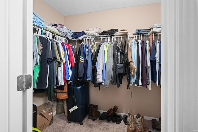 spacious closet featuring carpet flooring