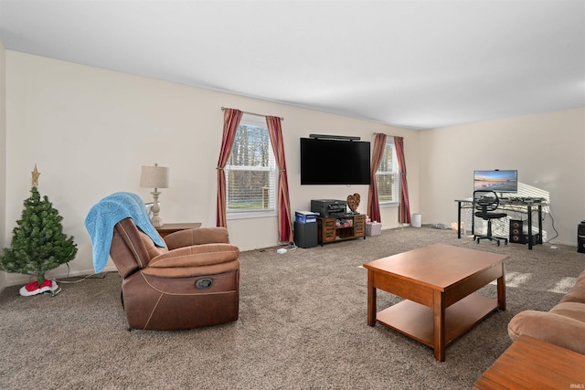 living room featuring carpet floors