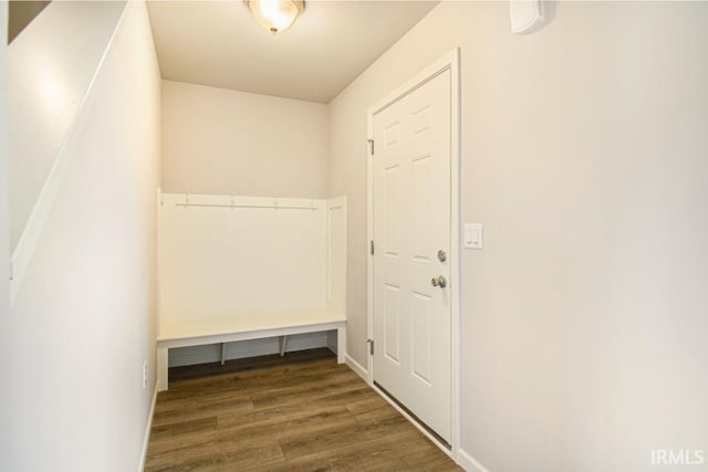 mudroom featuring dark wood-type flooring