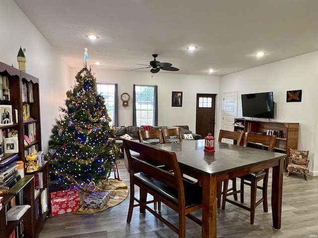 dining area featuring wood-type flooring and ceiling fan