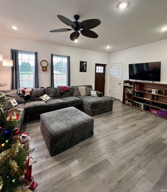 living room featuring a textured ceiling, light hardwood / wood-style floors, and ceiling fan