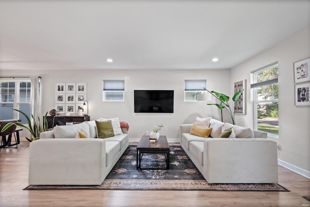 living room with wood-type flooring