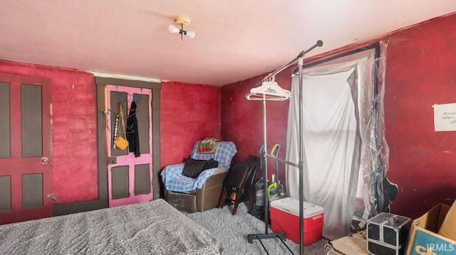 bedroom featuring carpet floors