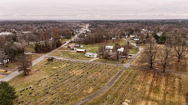 aerial view