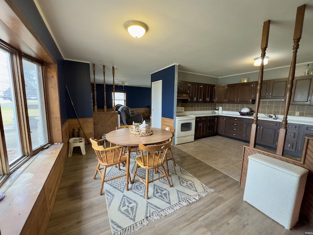 dining room featuring sink and light hardwood / wood-style flooring