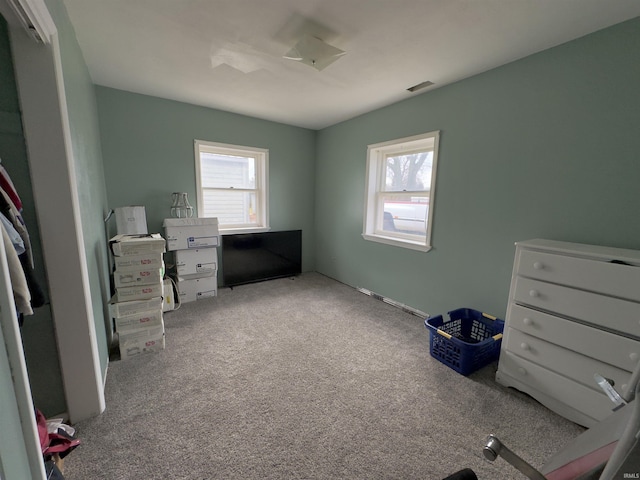 miscellaneous room featuring carpet floors