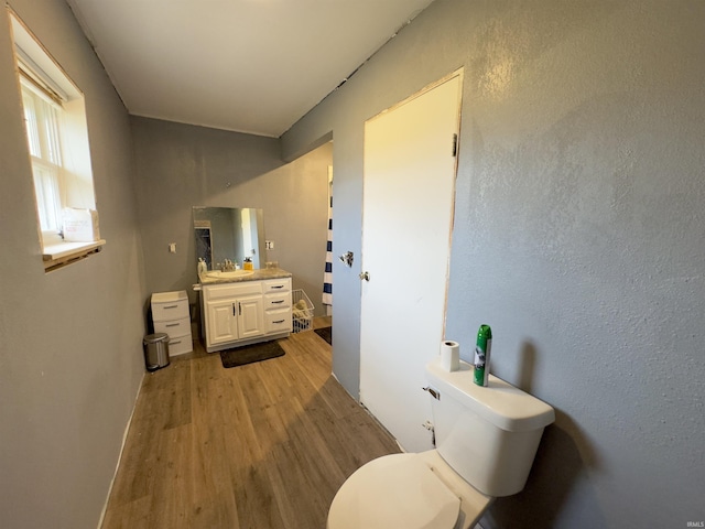 bathroom with hardwood / wood-style floors, vanity, and toilet